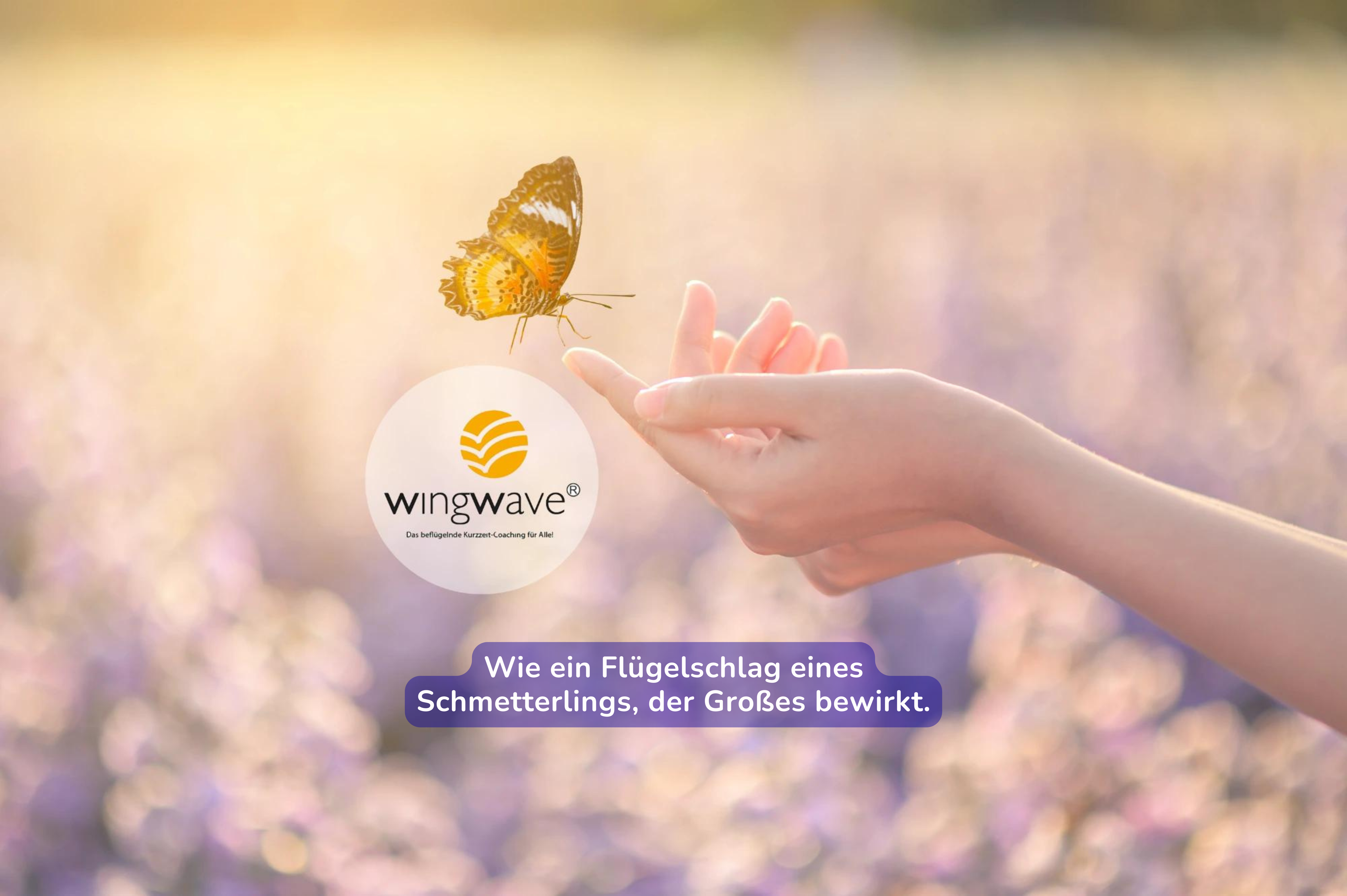 Lebenslichtcoach: Entdecke die Kraft deiner Seele und erstrahle in deinem inneren Licht